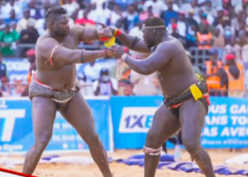 Lutte : 16e victoire de rang, Franc domine Tapha Tine et poursuit son ascension