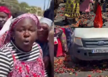 Colère des maraîchers : Des tonnes de légumes déversées sur la route au Km 50
