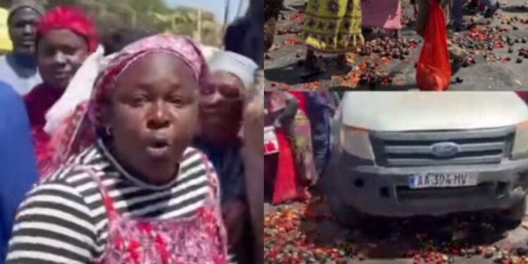 Colère des maraîchers : Des tonnes de légumes déversées sur la route au Km 50