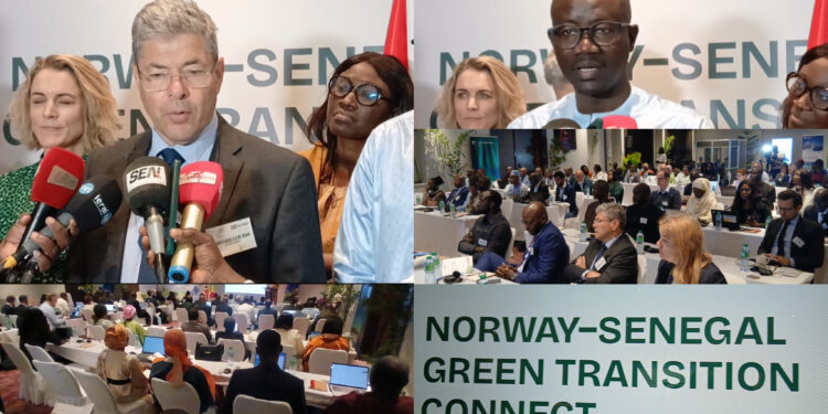 Norway–Senegal Green Transition Connect : L’expertise norvégienne au service du modèle sénégalais