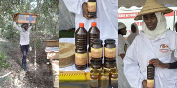 Amy Ndiaye : L’agronome qui brave ses peurs pour sauver les abeilles