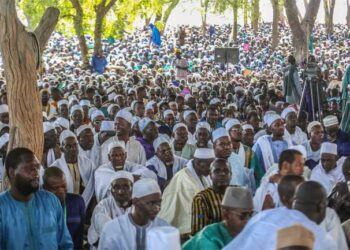 Médina Gounass : L’édition 2026 du Daaka officiellement lancée