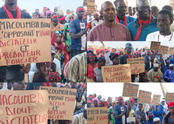 Latmingué : Le collectif AAR SUNU SUUF dénonce un projet imposé sans concertation