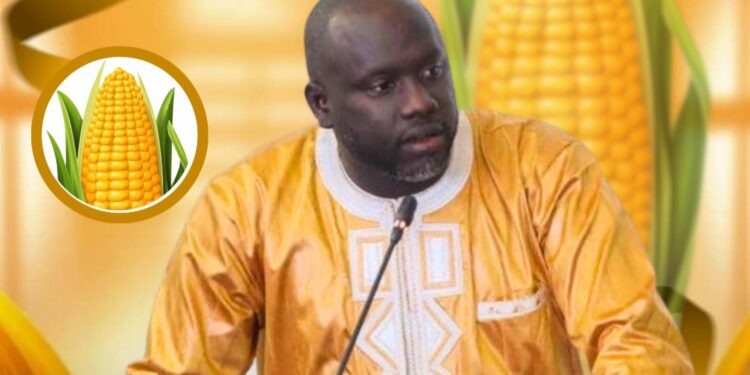 Reunion convoquée par le ministère du commerce sur la feraille : Serigne Momar Sokhna des Exportateurs Métal du Sénégal applaudit et…