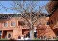 Nouveau siège de Goethe Institut : Une architecture écologique s’inspirant des techniques traditionnelles africaines et des innovations