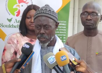 Kaolack : Les acteurs de la filière avicole en assemblée générale stratégique