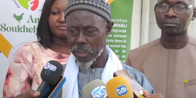 Kaolack : Les acteurs de la filière avicole en assemblée générale stratégique