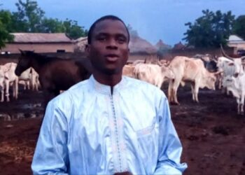 Kaffrine : Recrudescence du vol de bétail à Birkelane, la plateforme Aar Sunu Momel hausse le ton