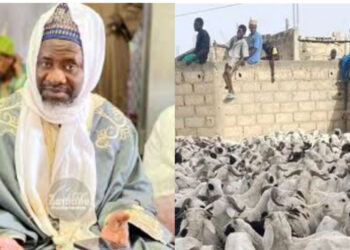 Kaolack : L’Imam Cheikh Mouhamadou Mahy Seydi Alioune Cissé offre 480 moutons aux familles démunies