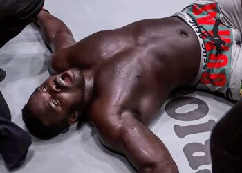 MMA : Reug Reug perd sa ceinture mondiale face à Malykhin